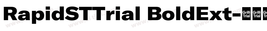 RapidSTTrial BoldExt字体转换